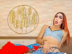 Tranny Gets Horny and Masturbates