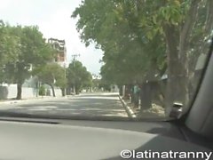 Super Ugly Female Pickup on the streets and Nikki Montero Got a Blowjob